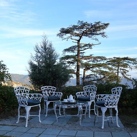 Springfields - A Heritage Palace Since 1902 Shimla Exterior foto