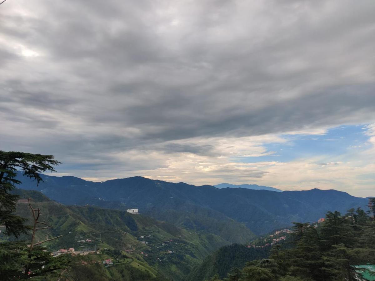 Springfields - A Heritage Palace Since 1902 Shimla Exterior foto